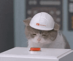 Cat Working GIF by hamlet.gif