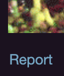 Screenshot 2025-10-26 at 11.56.42 AM.png