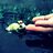 KissingFrogs