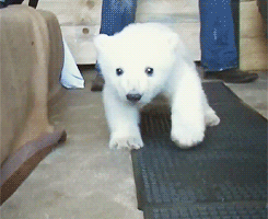 tumblr_mmynuygtAR1sqeuj9o1_250.gif